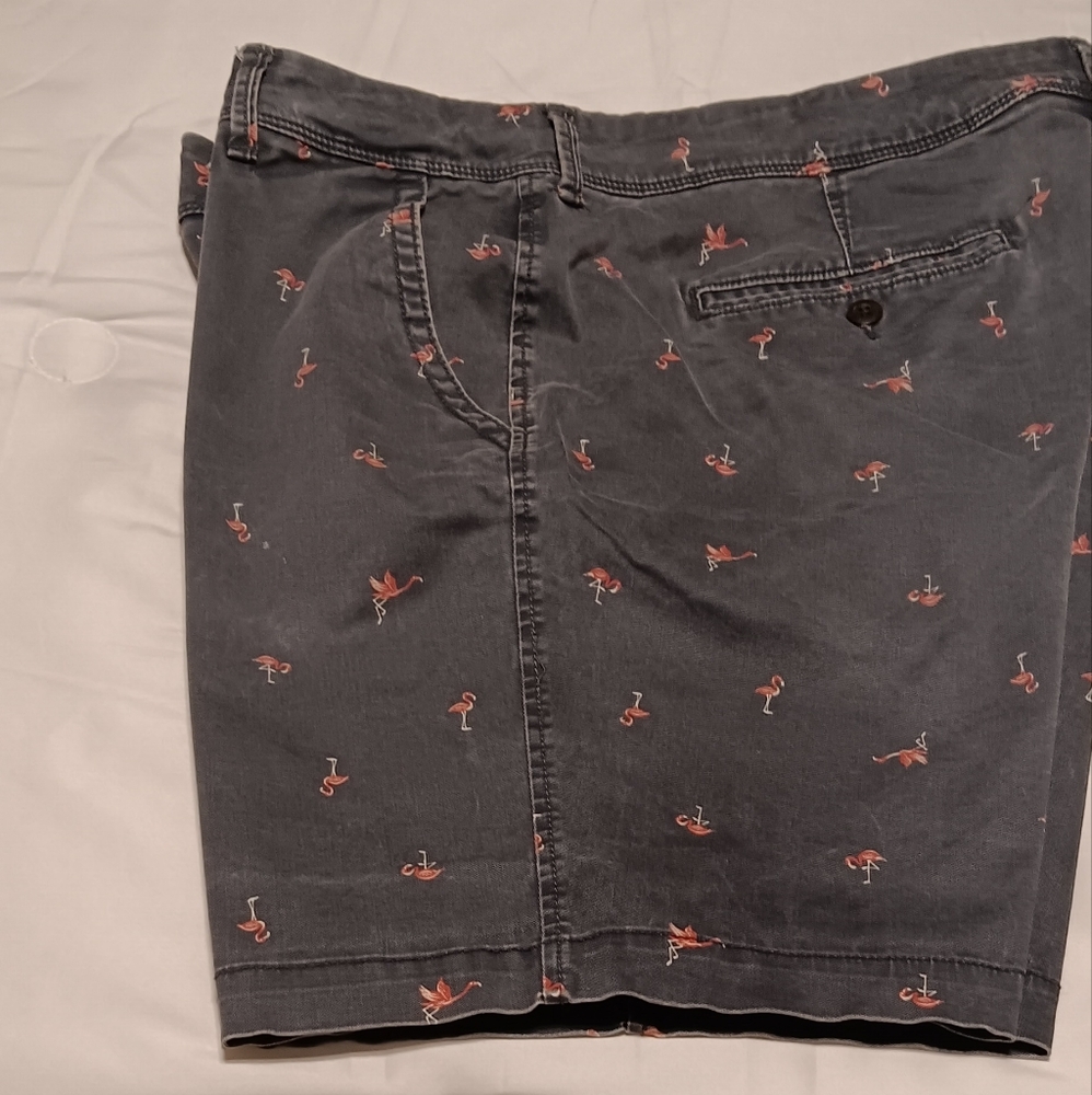 Aeropostale Mens Gray Shorts with Flamingo Print Sz 38